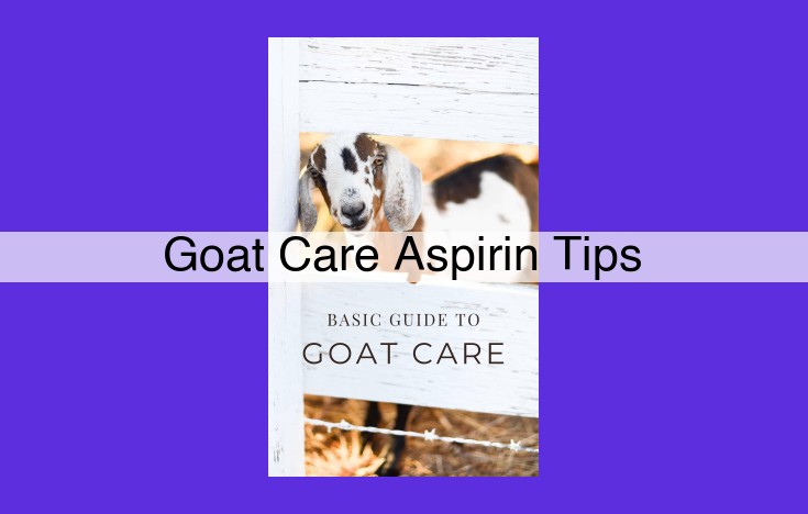 Aspirin Administration for Goats: Dosage, Administration, and Precautions