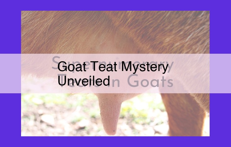 Comprehensive Guide to Goat Teat Health: Diagnosing and Treating Common Teat Issues