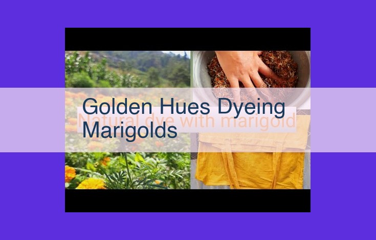 Natural Golden Hues Dyeing: A Timeless Art for Vibrant Creations