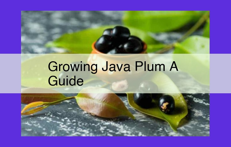 Java Plum Tree Growing Guide: A Comprehensive Blueprint to Enhance Growth and Harvest