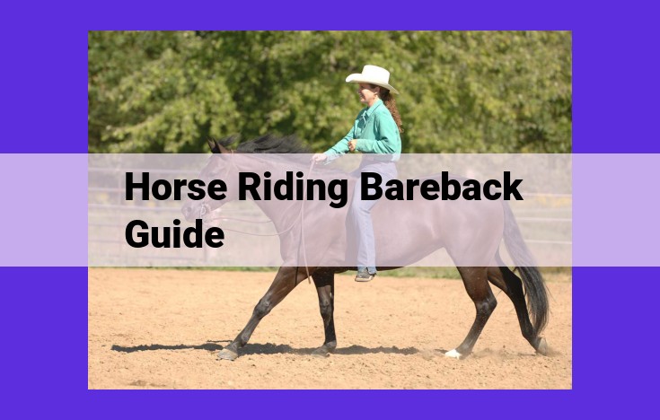 Bareback Horse Riding: Unleash the Thrill and Freedom of Equestrian Adventure