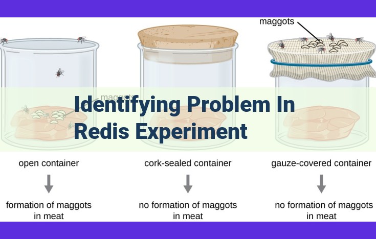 Ultimate Guide to Troubleshooting Redis Performance Issues and Data Corruption