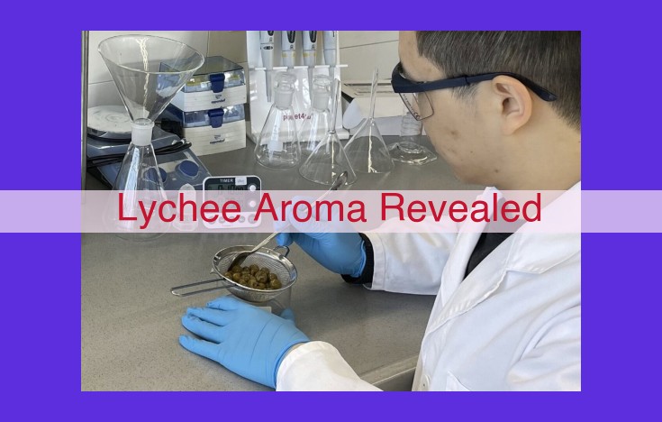 Unveiling the Essence of Lychee Aroma: A Comprehensive Exploration