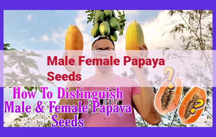 Unlock Fruit Production Success: Maximizing Yields with Male and Female Papaya Seeds