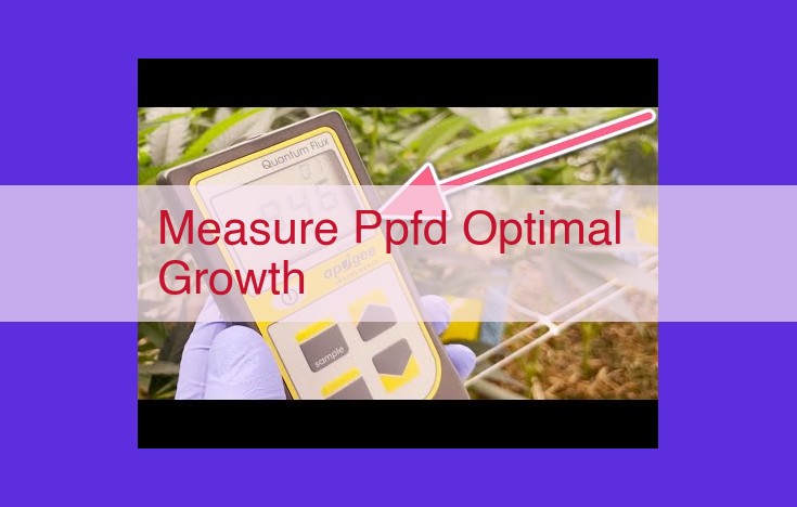 Measure Photosynthetic Photon Flux Density (PPFD) for Optimal Plant Growth and Yield