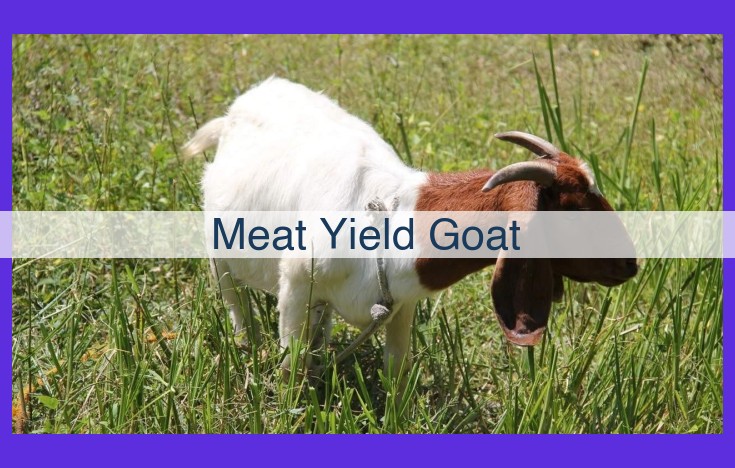 Unveiling the Significance of Meat Yield for Profitable Goat Farming: A Comprehensive Guide