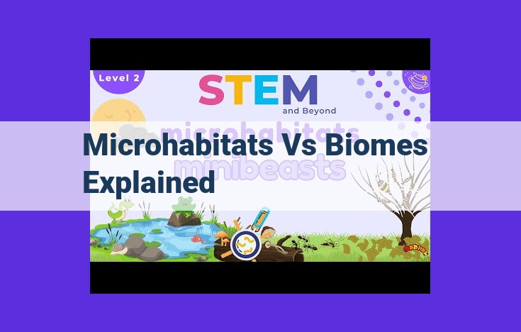 Deciphering the Hierarchical Nature of Ecosystems: Microhabitats and Biomes