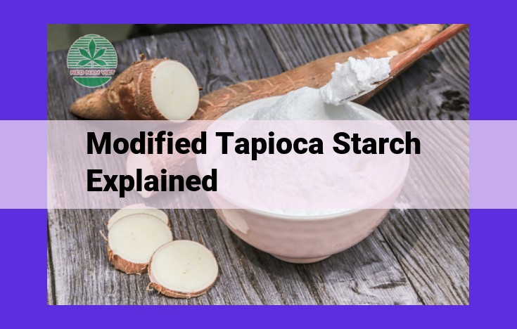 Modified Tapioca Starch: Unlocking Functionality and Innovation in Food Development