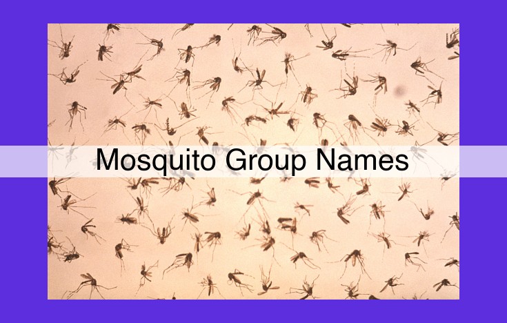 Understanding Differences Between Mosquitoes, Gnats, Midges, Sand Flies, Black Flies, No-See-Ums, and Punkies for Pest Control and Disease Prevention