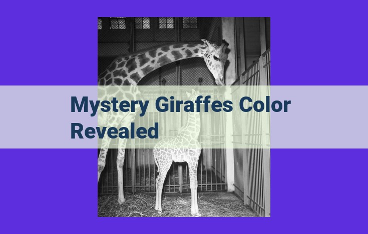 Unravel the Enigma of Color-Changing Giraffes: Leucism Unveiled