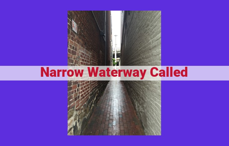 Unveiling the Diverse Types of Narrow Watercourses for Optimal Navigation