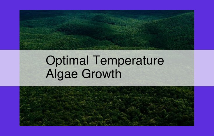 Unveiling the Ideal Temperature Zone for Optimal Algae Growth: A Comprehensive Guide