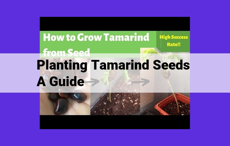 Ultimate Guide to Tamarind Seed Propagation: From Planting to Harvest