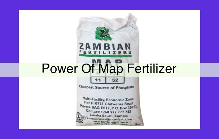 Unlock the Power of Map Fertilizer: The Ultimate Guide to Soil Fertility