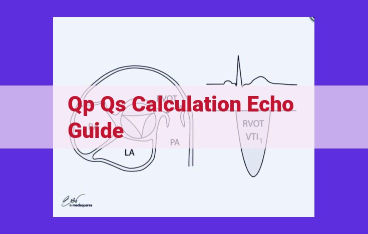 Comprehensive Guide to Pulmonary Circulation Assessment Using Echocardiography