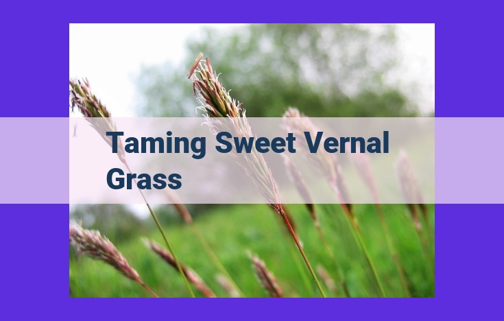 Comprehensive Sweet Vernal Grass Management: A Guide to Suppressing Invasive Growth