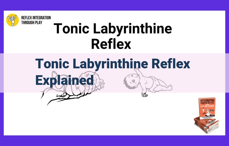 Understanding the Tonic Labyrinthine Reflex (TLR): Balance and Head Orientation