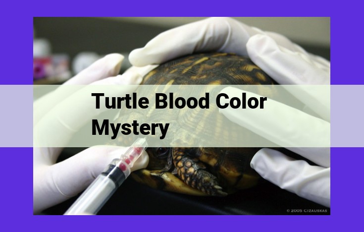 Unraveling the Enigma of Turtle Blood Color: The Symphony of Oxygen-Carrying Proteins and Biliverdin