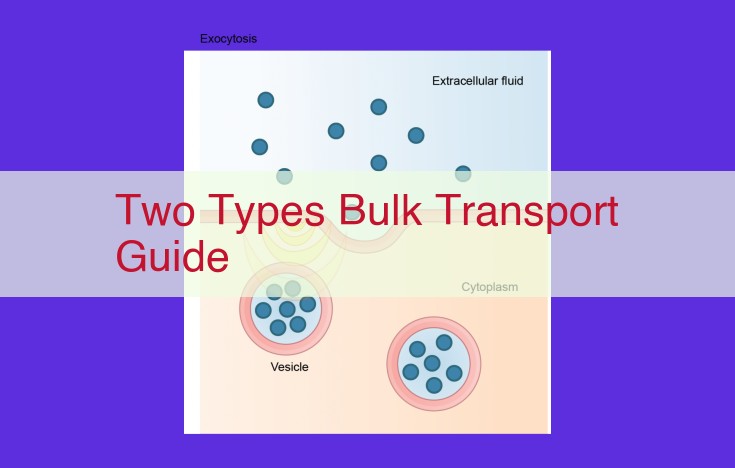 Bulk Transport: Exploring Passive and Facilitated Diffusion in Biological Membranes