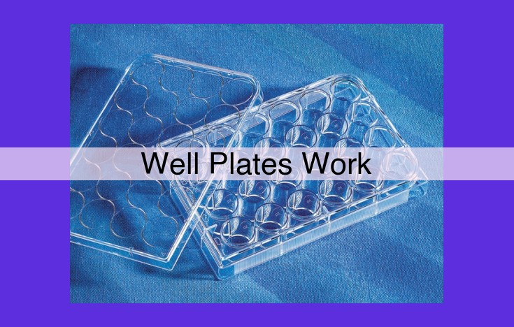 Unlock the Power of High-Throughput Screening with Well Plates: A Guide