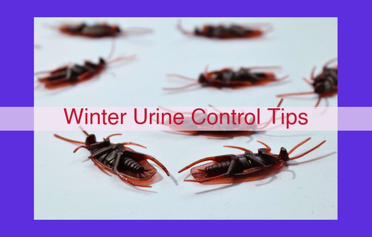 Master Winter Urine Control: Ultimate Tips and Expert Advice