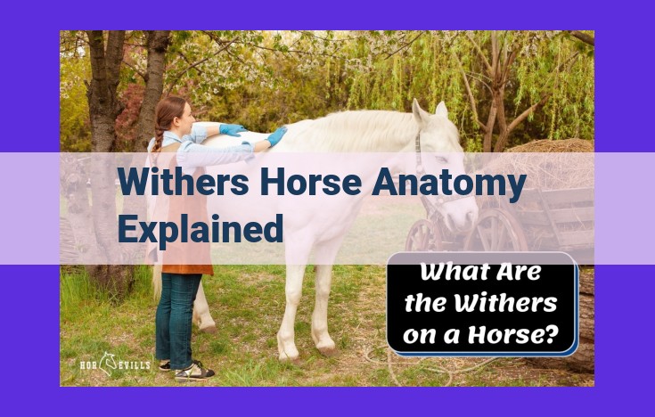 Discover the Withers: Understanding the Key Structures for Horse Musculoskeletal Health