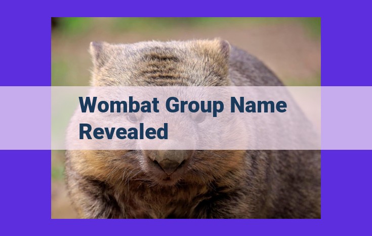 Unveiling the Secrets of the Enigmatic Wombat's Social Structures: A Comprehensive Exploration